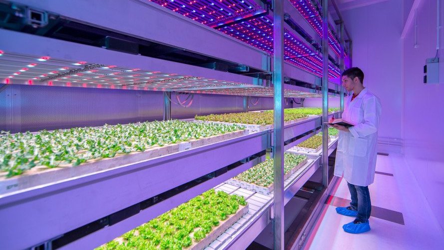 Tecnologia aplicada à agricultura: o que são as fazendas indoor?