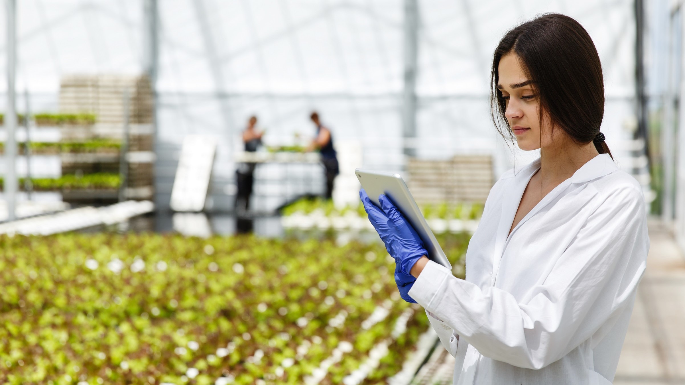 Como as foodtechs podem transformar o setor alimentício