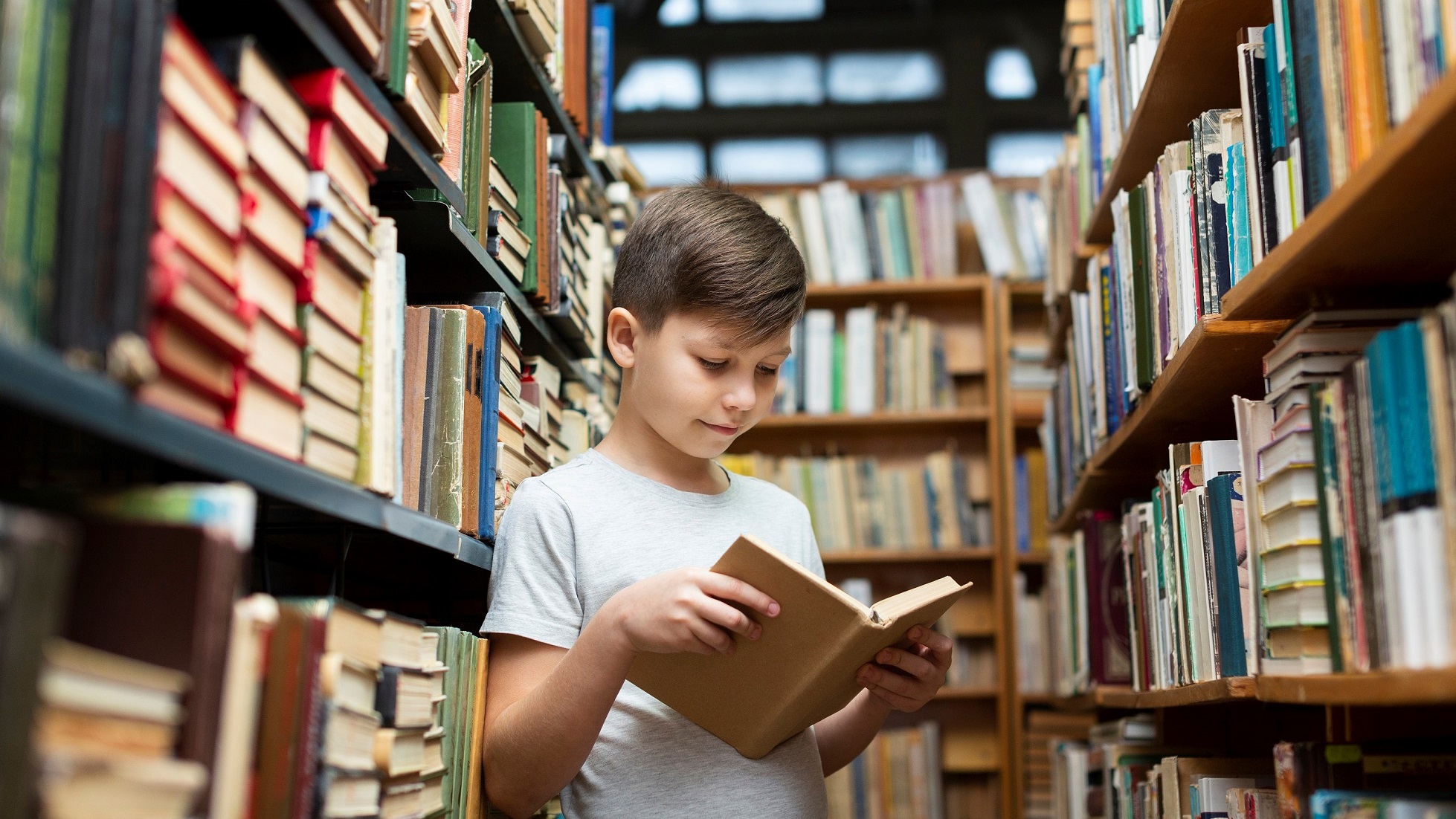 O brasileiro não precisa ser estudado, ele precisa estudar