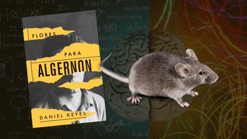 Flores para Algernon (Resenha)